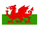 The Welsh Flag